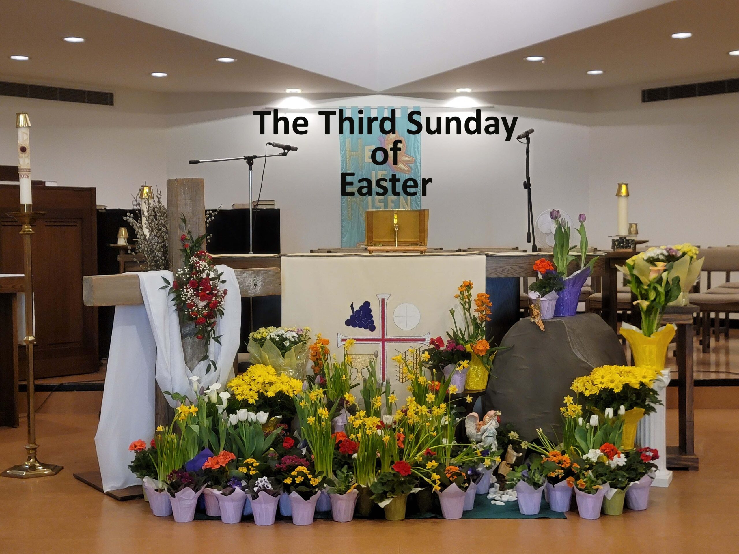 Sermon Video for Easter 3