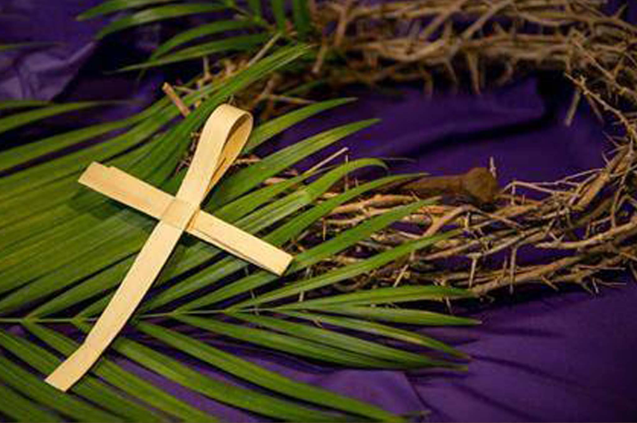 Sermon Video for Lent3