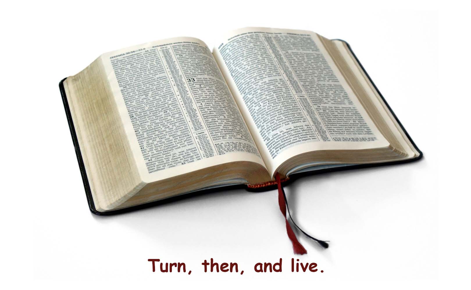 Sermon for The Eighteenth Sunday after Pentecost