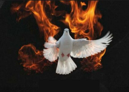 Sermon Video for The Third Sunday after Pentecost